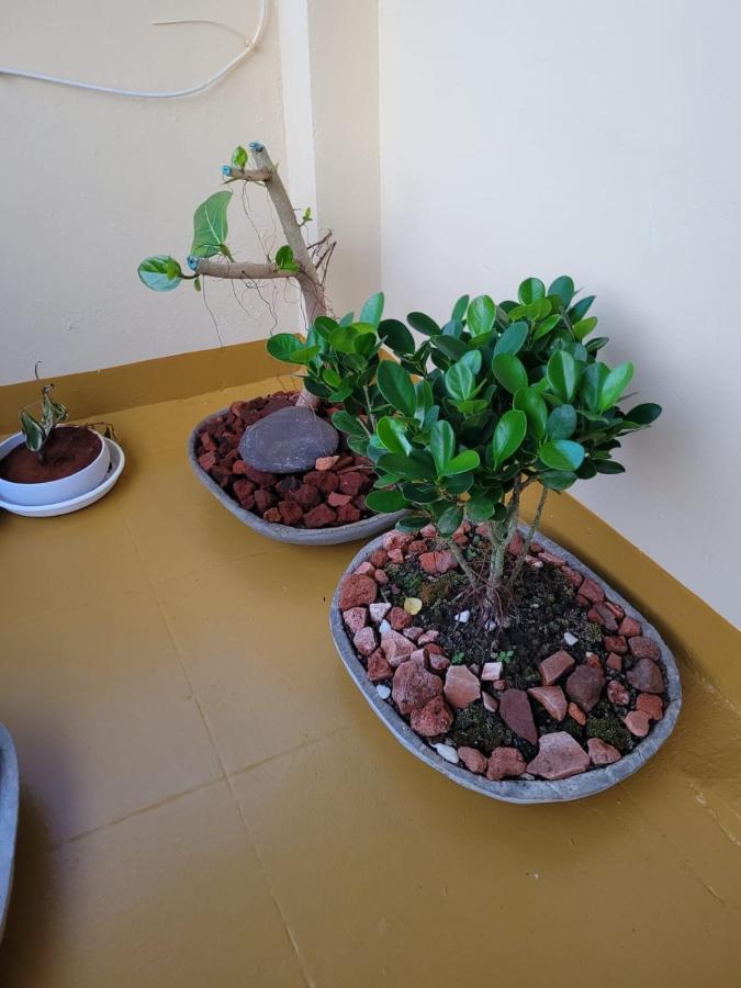 Sandy Beach Hotel Thiruvananthapuram Екстер'єр фото